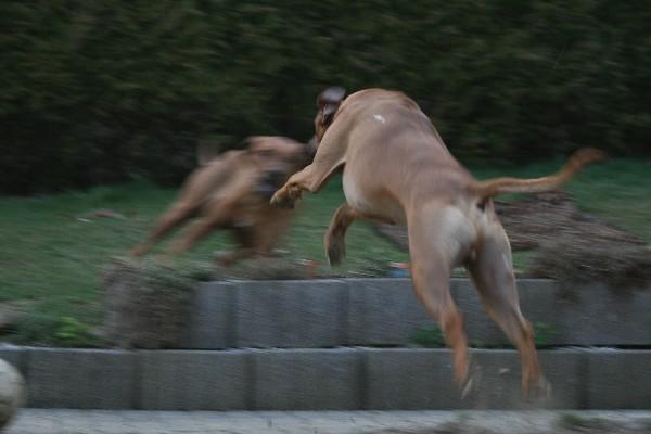 IMG_3760.jpg