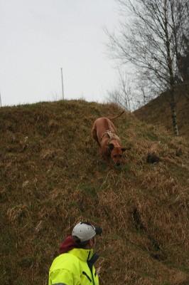 IMG_3661.jpg