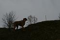 IMG_3659
