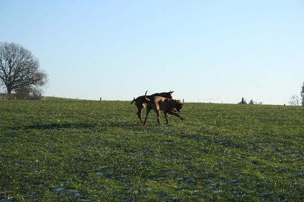 IMG_2283.jpg