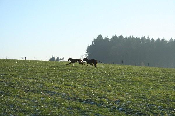 IMG_2290.jpg