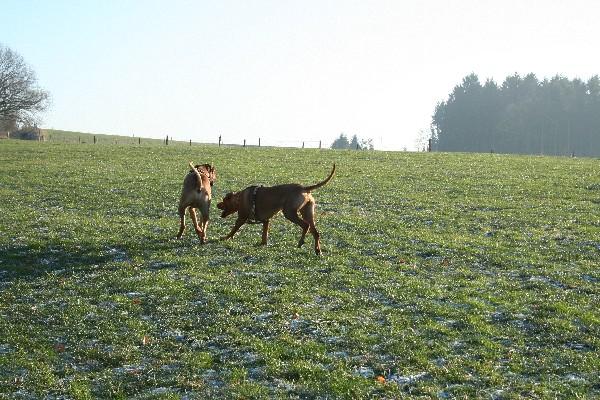 IMG_2294.jpg