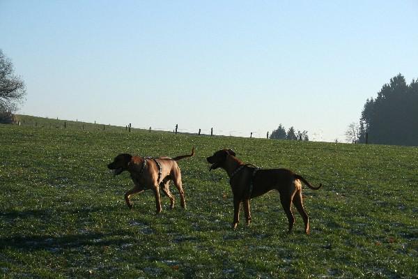 IMG_2295.jpg