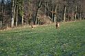 IMG_2287