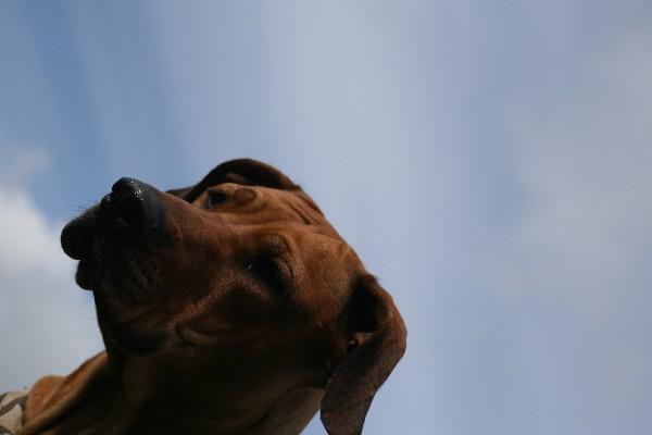 IMG_4144.jpg