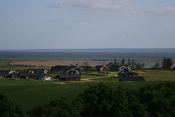 IMG_4156.jpg