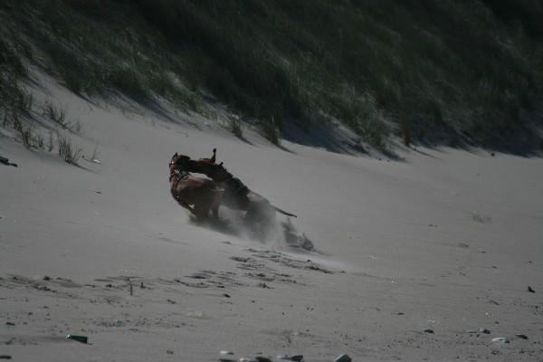 IMG_4170.jpg