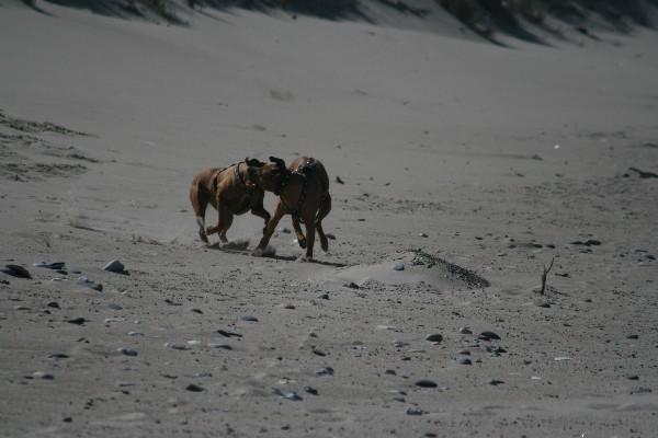IMG_4180.jpg