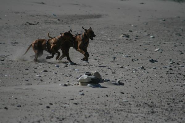 IMG_4182.jpg