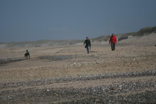 IMG_4196.jpg