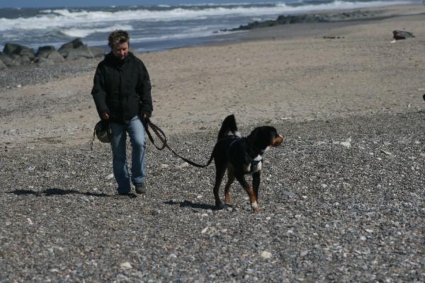 IMG_4200.jpg