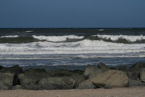 IMG_4203.jpg