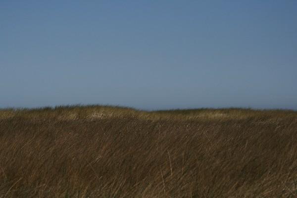 IMG_4257.jpg