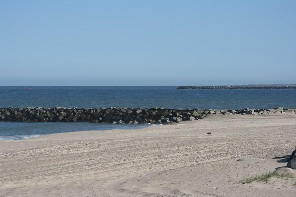 IMG_4260.jpg