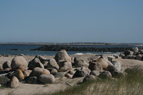 IMG_4261.jpg
