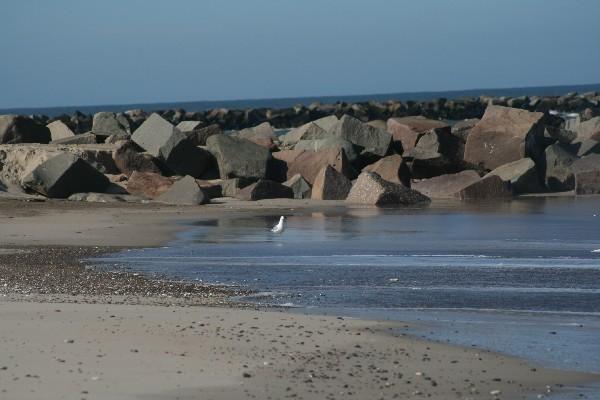 IMG_4277.jpg