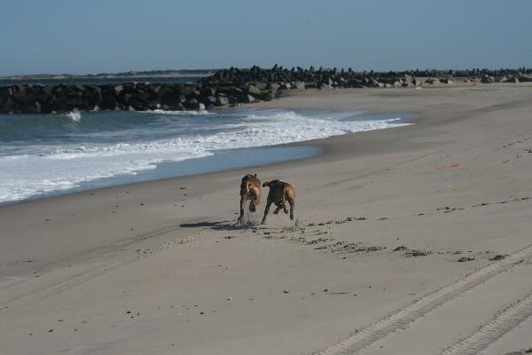 IMG_4278.jpg