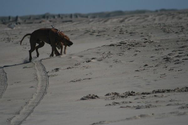 IMG_4282.jpg