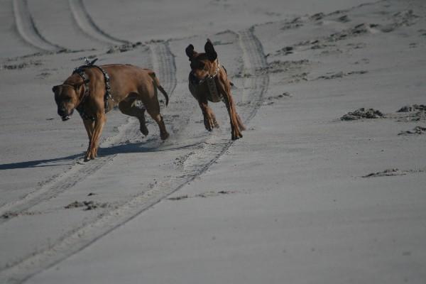 IMG_4287.jpg
