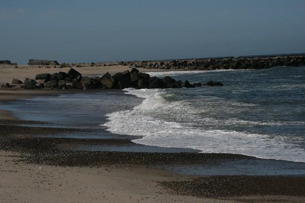 IMG_4317.jpg