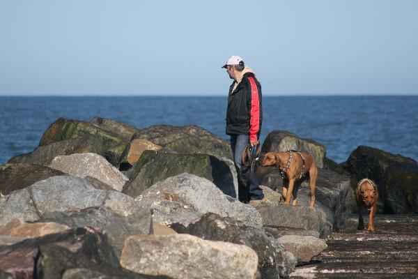 IMG_4321.jpg