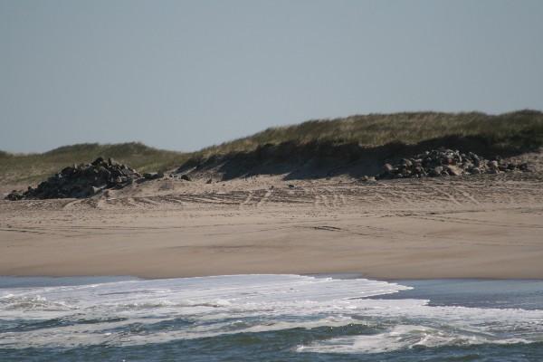 IMG_4324.jpg