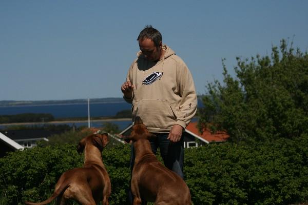 IMG_4361.jpg