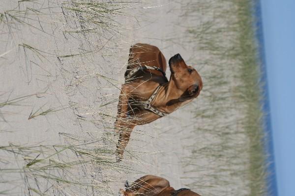 IMG_4377.jpg