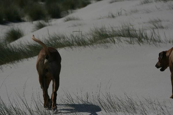 IMG_4406.jpg