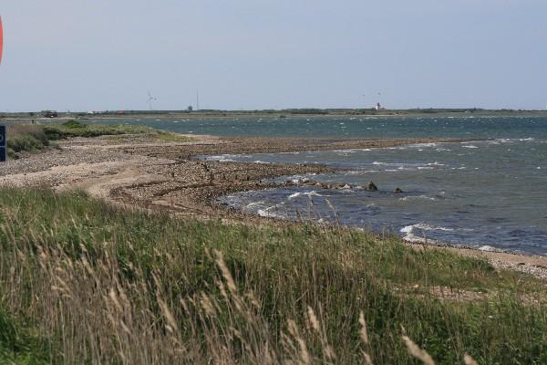 IMG_4451.jpg