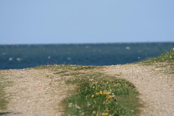 IMG_4518.jpg