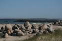 IMG_4261